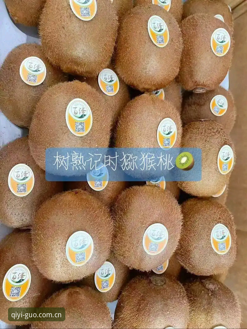 奇异果体育安卓最新官方下载实用指南：2025新版功能与安全安装全解析