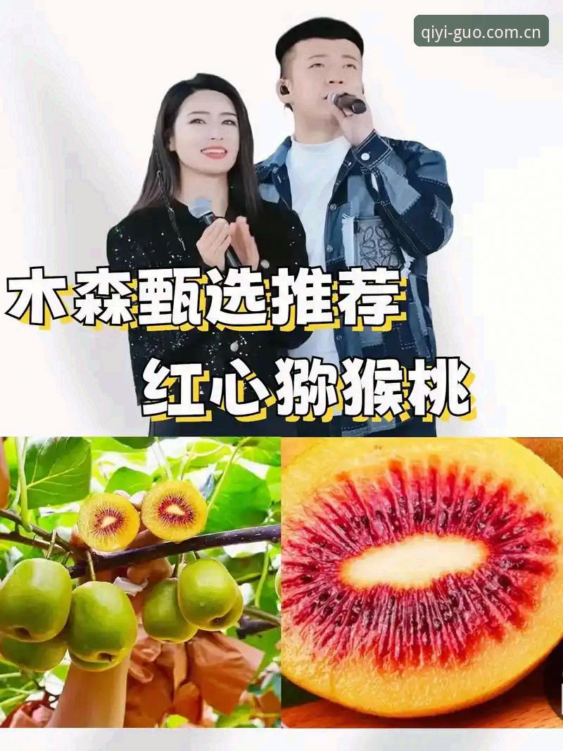 奇异果体育平台2025新版使用指南：从下载入口到实战投注的完整攻略