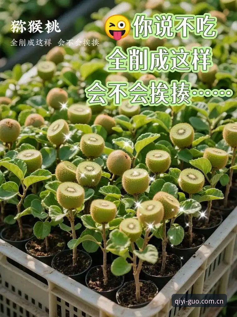 老用户亲测：使用奇异果体育官方APP的5个实用技巧与2025新版体验