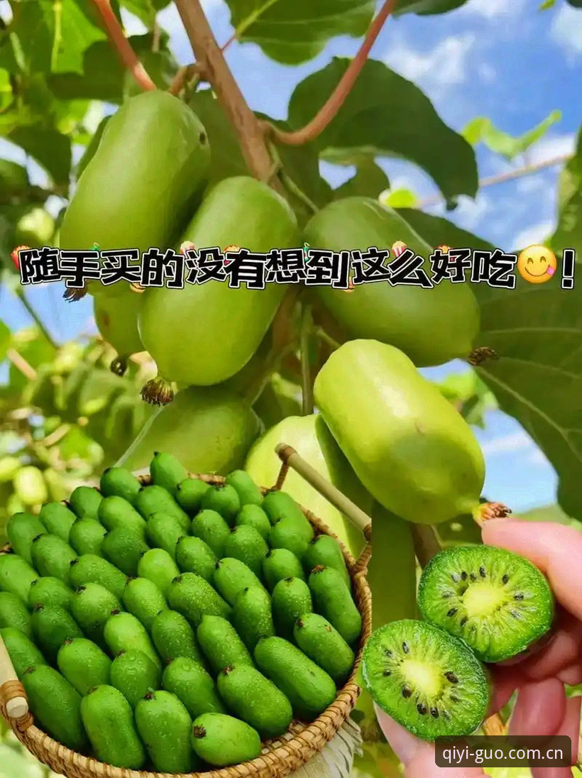 奇异果体育最新版本常见问题有哪些？如何解决？